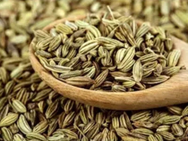 Fennel Seeds-12646221