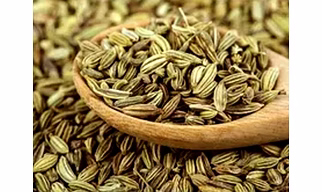 Fennel Seeds
