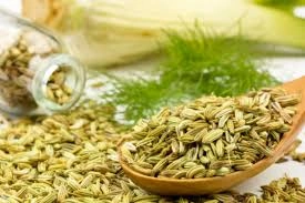 Fennel Seeds-2