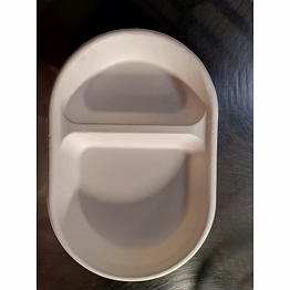 sugarcane plates