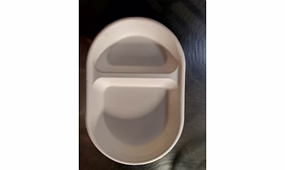 Sugarcane plates