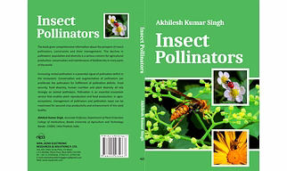 Insect Pollinators (Hardback, Akhilesh Kumar Singh)