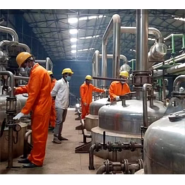 mechotechllp curcumin extraction plant