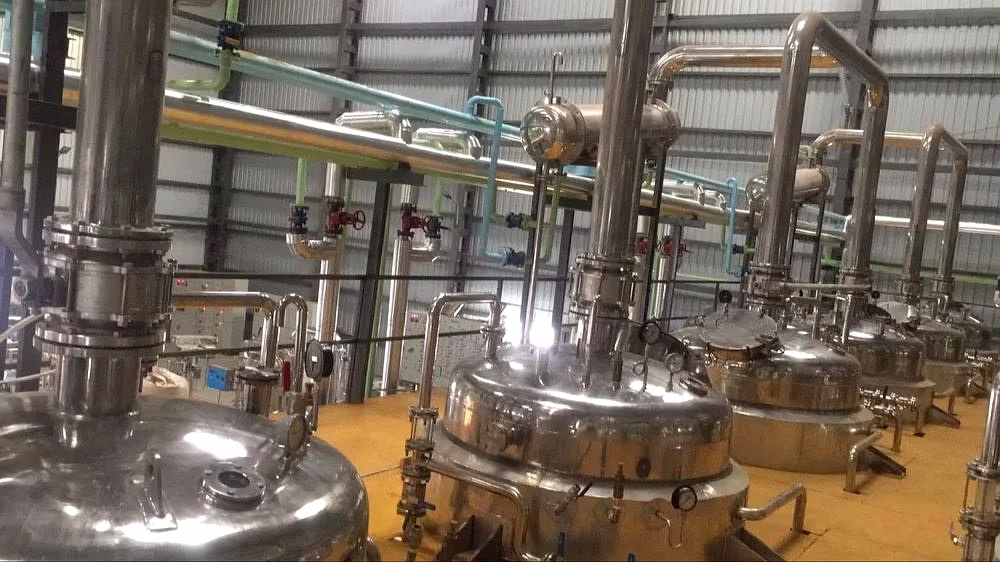 curcumin extraction plant