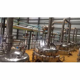 garlic extraction plant