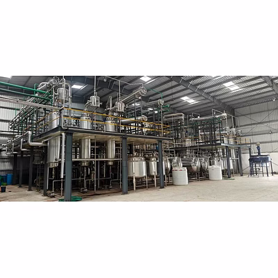 bacopa monneri extraction plant
