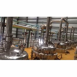 terminalia bellirica extraction plant