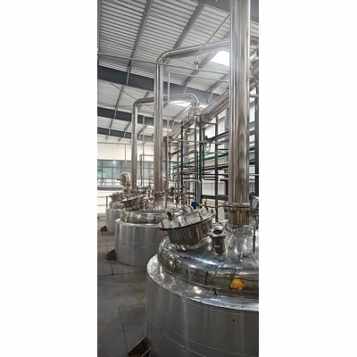 white kidney bean extraction plant