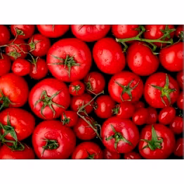 fresh tomato