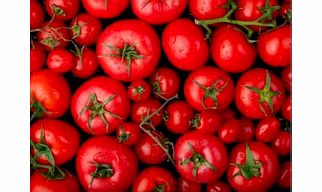 Fresh tomato
