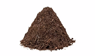 DRY COW DUNG
