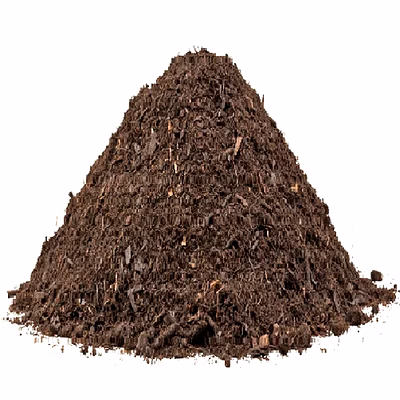 dry cow dung