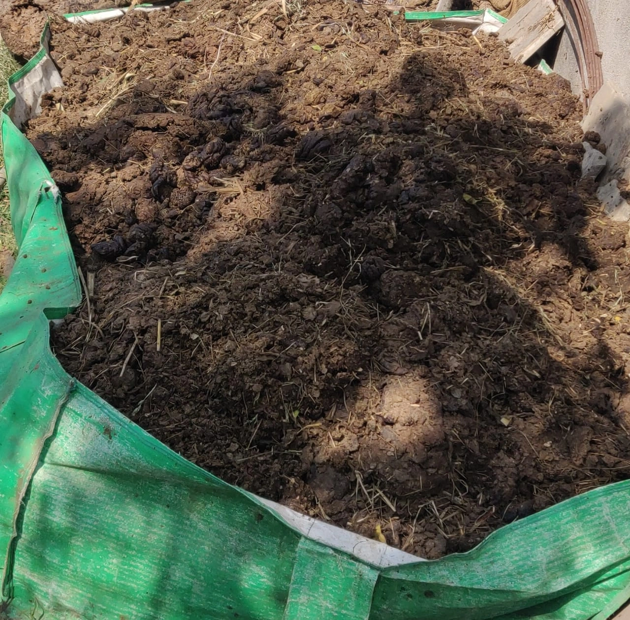 DRY COW DUNG-2