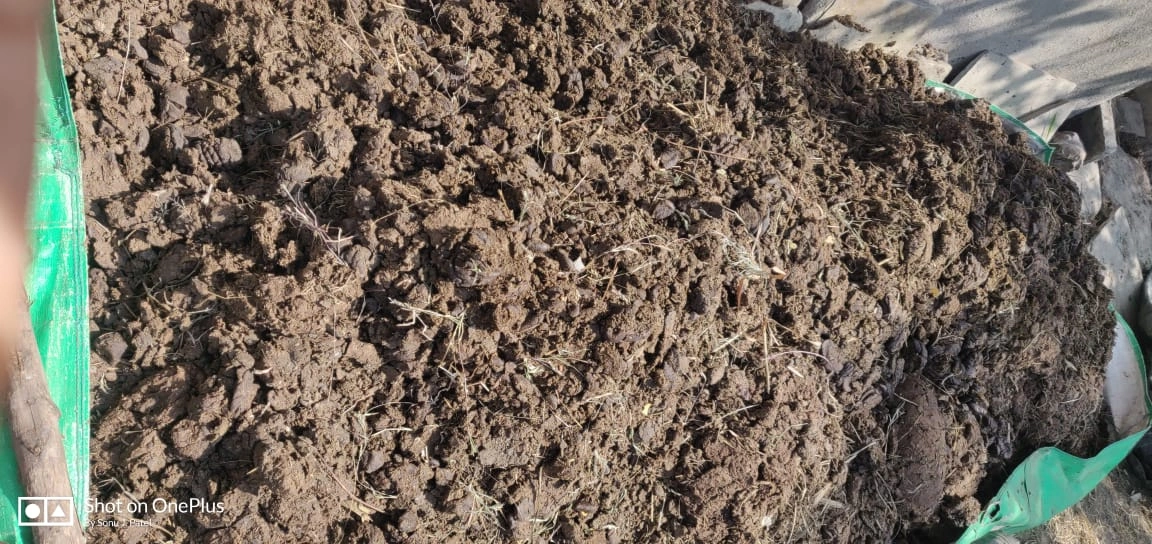 DRY COW DUNG-3