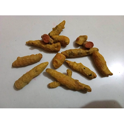 Turmeric finger-12651759