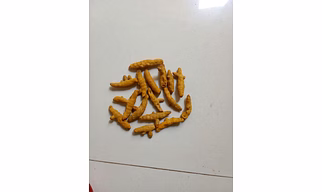 Raw dry turmeric