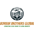 Borkar Brothers Global-logo