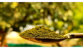 Moringa powder, leaves, extract