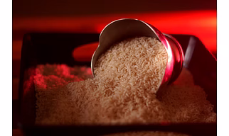 Parboiled Rice IR 64