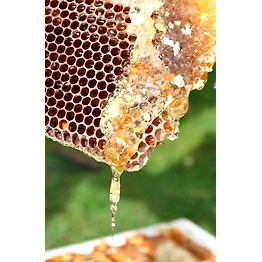 Natural Honey