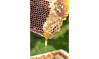Natural Honey