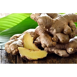 Ginger