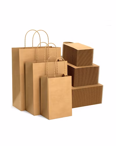 Paper bag-1
