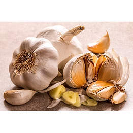 dehydrated garlic