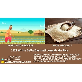 1121 White Sella Basmati Long Grain Rice