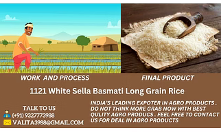 1121 White Sella Basmati Long Grain Rice