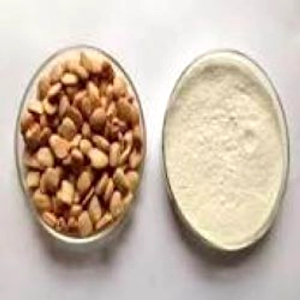 TAMARIND KERNEL POWDER-12663105