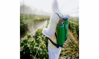 Other Herbicides