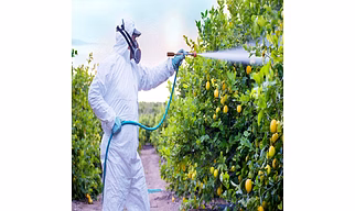 Other Fungicides