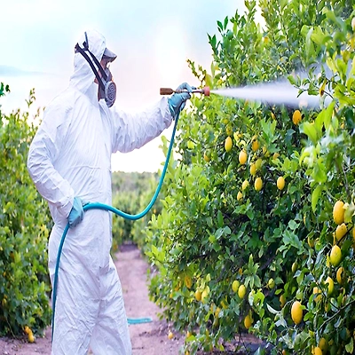 BOPPANA OTHER FUNGICIDES
