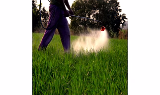 Other Insecticide N.E.S.