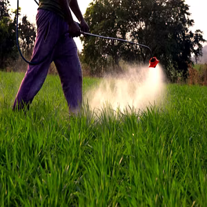 Other Insecticide N.E.S.