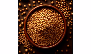 Seeds Of Coriander