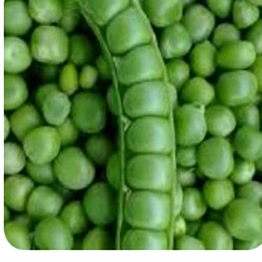 boppana green peas