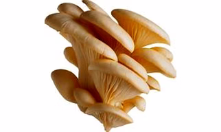 Mushrooms And Truffles