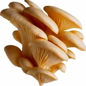 Mushrooms And Truffles