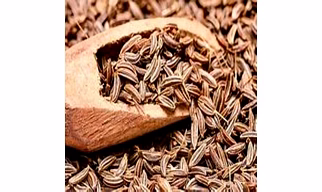 Caraway Or Fennel