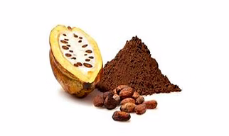 Cocoa Powder