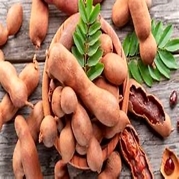 BOPPANA TAMARIND
