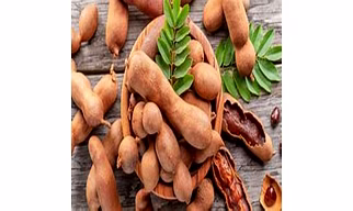 Tamarind