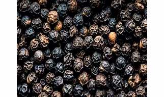 Black Pepper