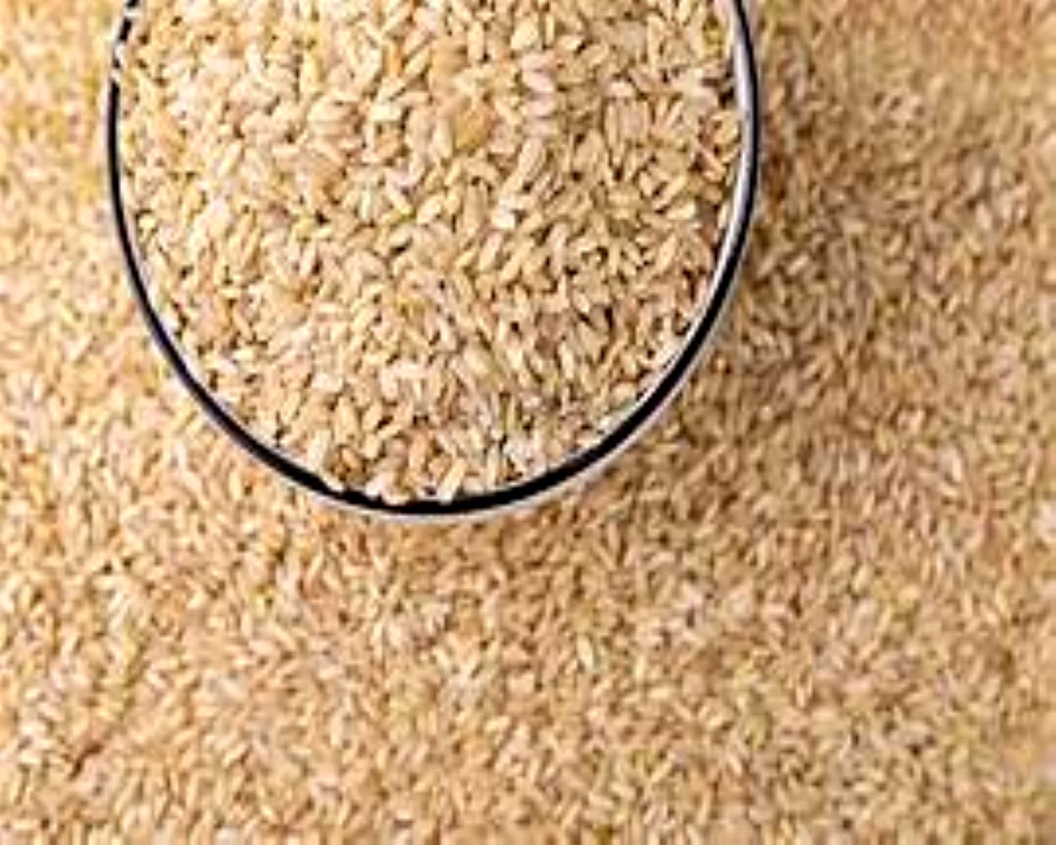 Non-Basmati Rice image 2