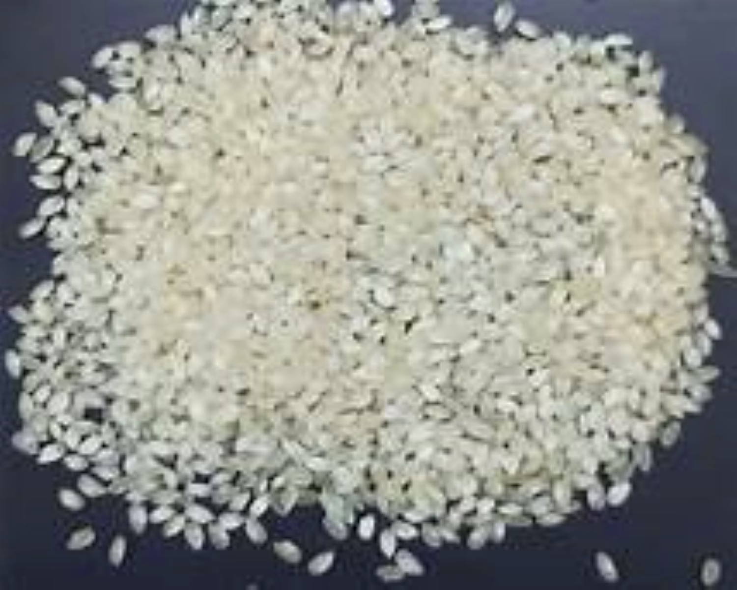 Non-Basmati Rice image 4