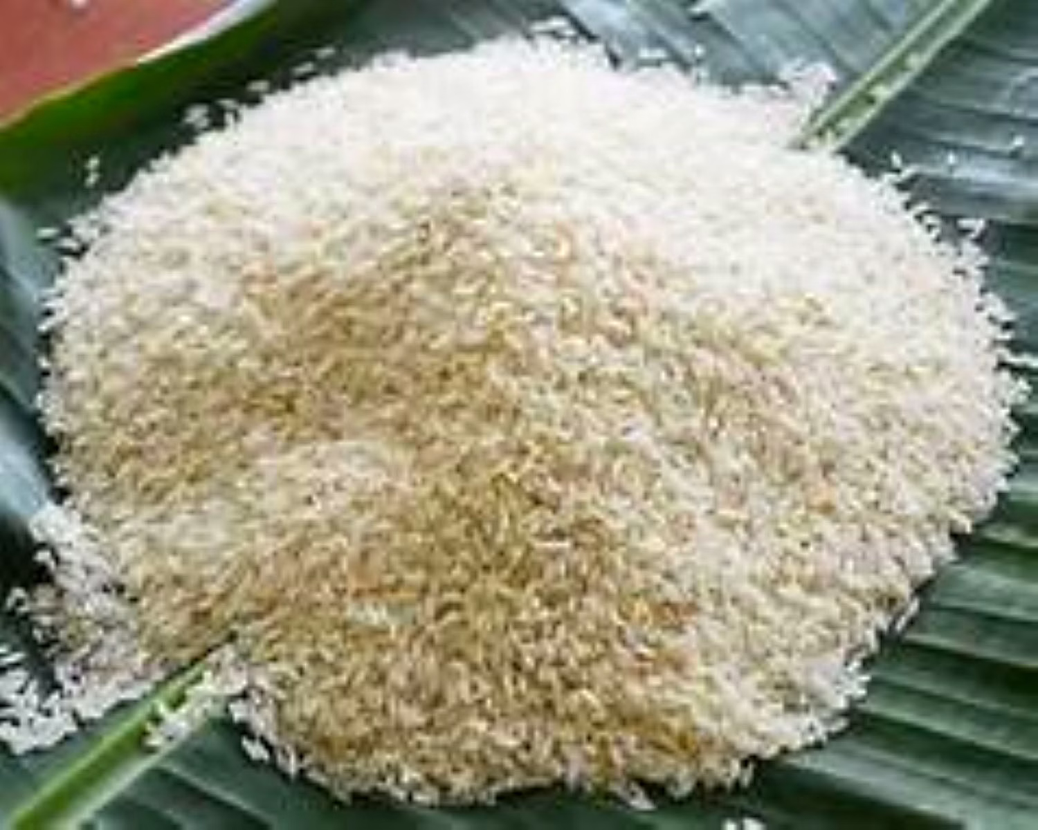 Non-Basmati Rice image 5