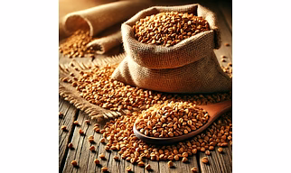 Fenugreek Seeds