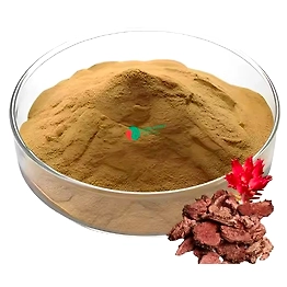 XXspirit Wholesale rhodiola rosea root extract salidroside 3% rosavins and 1% powder